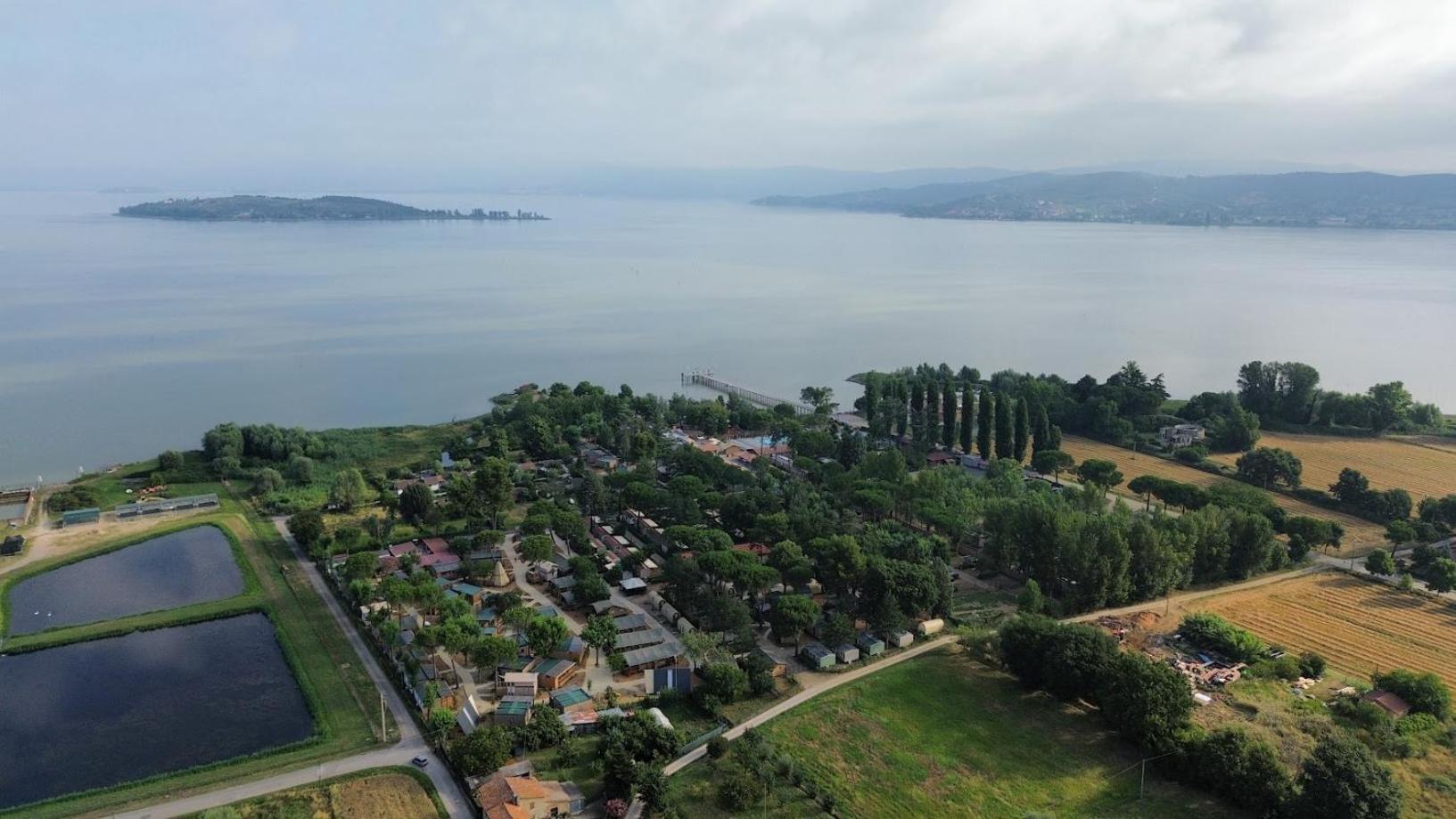 Trasimeno Glamping Resort Magione Eksteriør billede
