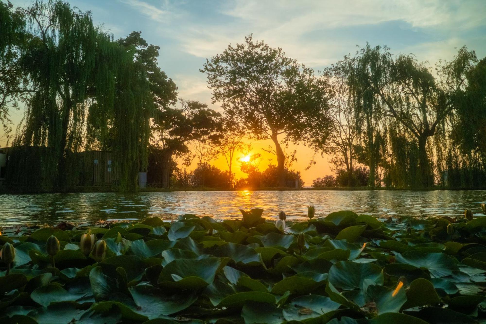 Trasimeno Glamping Resort Magione Eksteriør billede